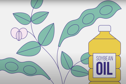 A still from FDA's video on GMOs: cartoon soybeans and a bottle labeled "soybean oil"